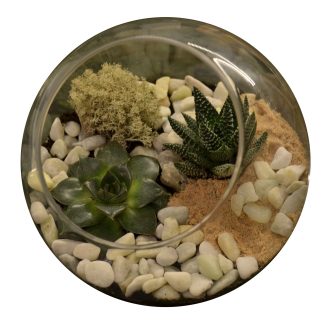 Globe Terrarium - Desk Mount